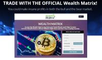 Wealth Matrix image 2